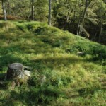 Black Spout 2007 site copyright Perth and Kinross Heritage Trust